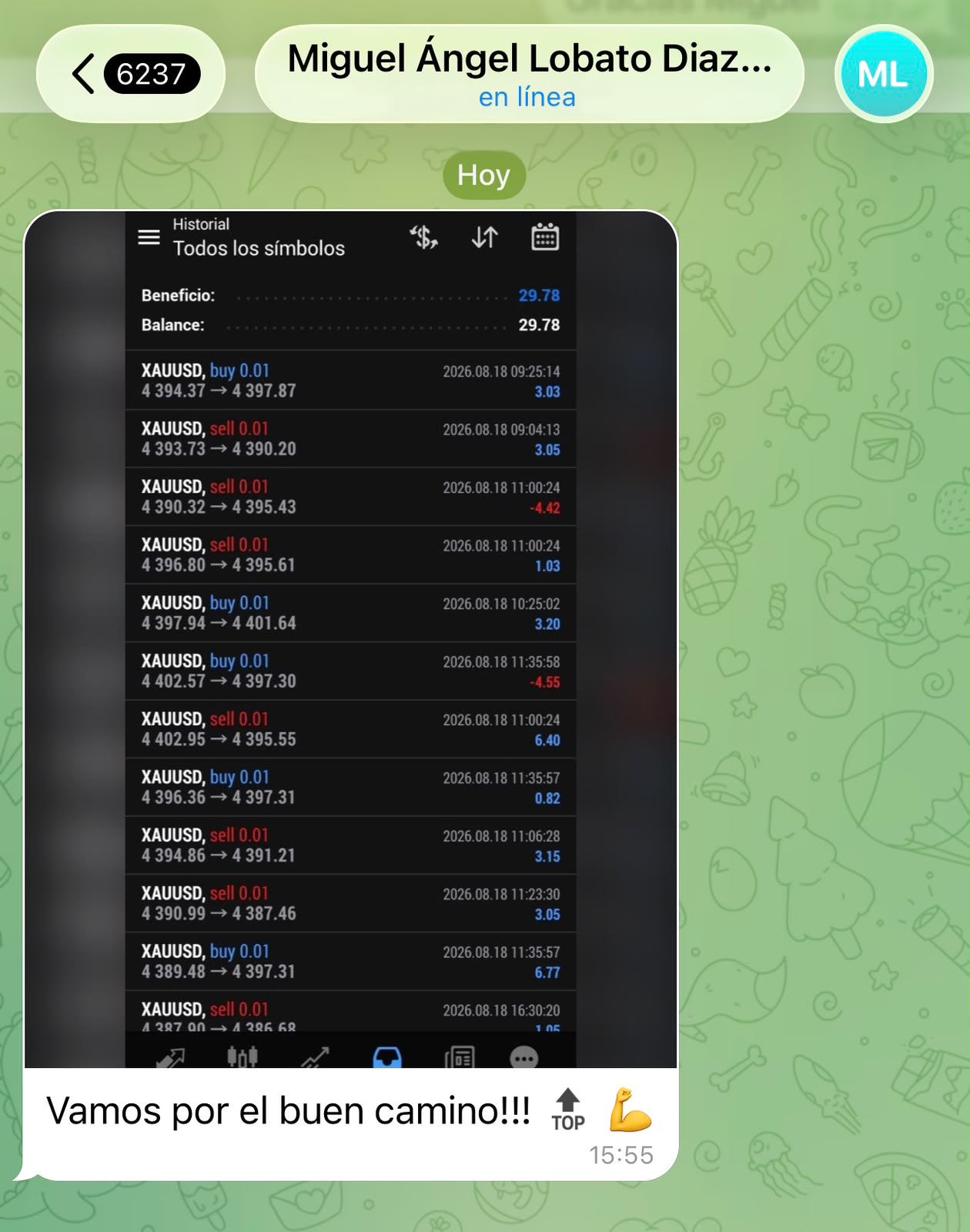 Resultado VIP - 29.78 beneficio XAUUSD operaciones automaticas